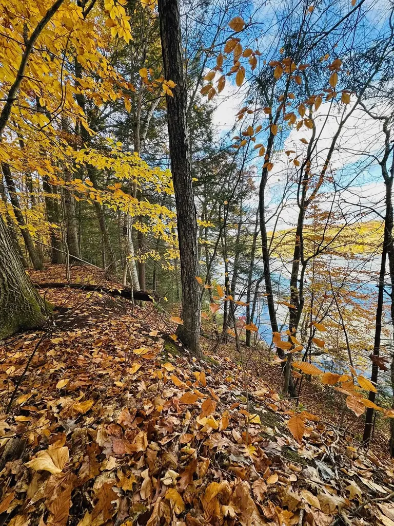 476 Missing Link Road Springfield VT 05156