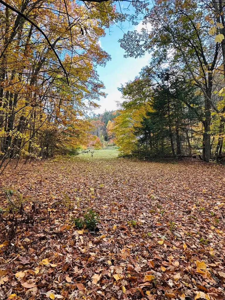 476 Missing Link Road Springfield VT 05156