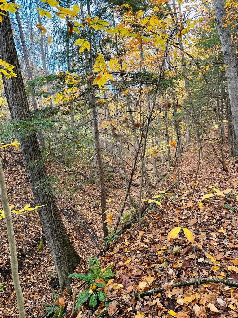 476 Missing Link Road Springfield VT 05156