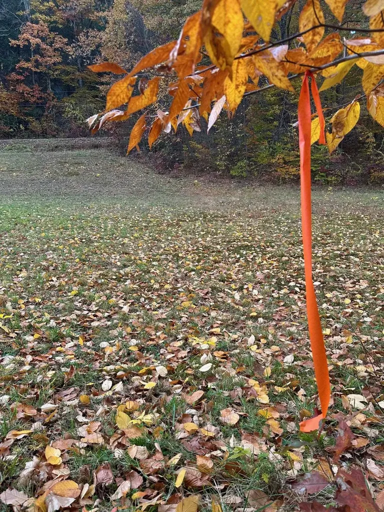 476 Missing Link Road Springfield VT 05156