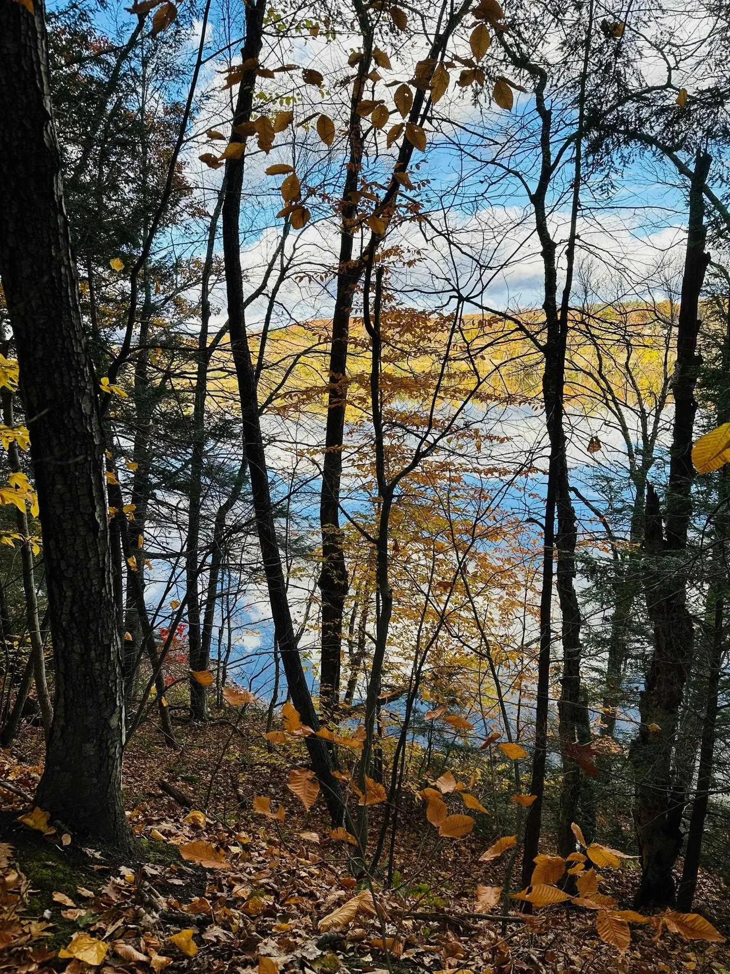 476 Missing Link Road Springfield VT 05156