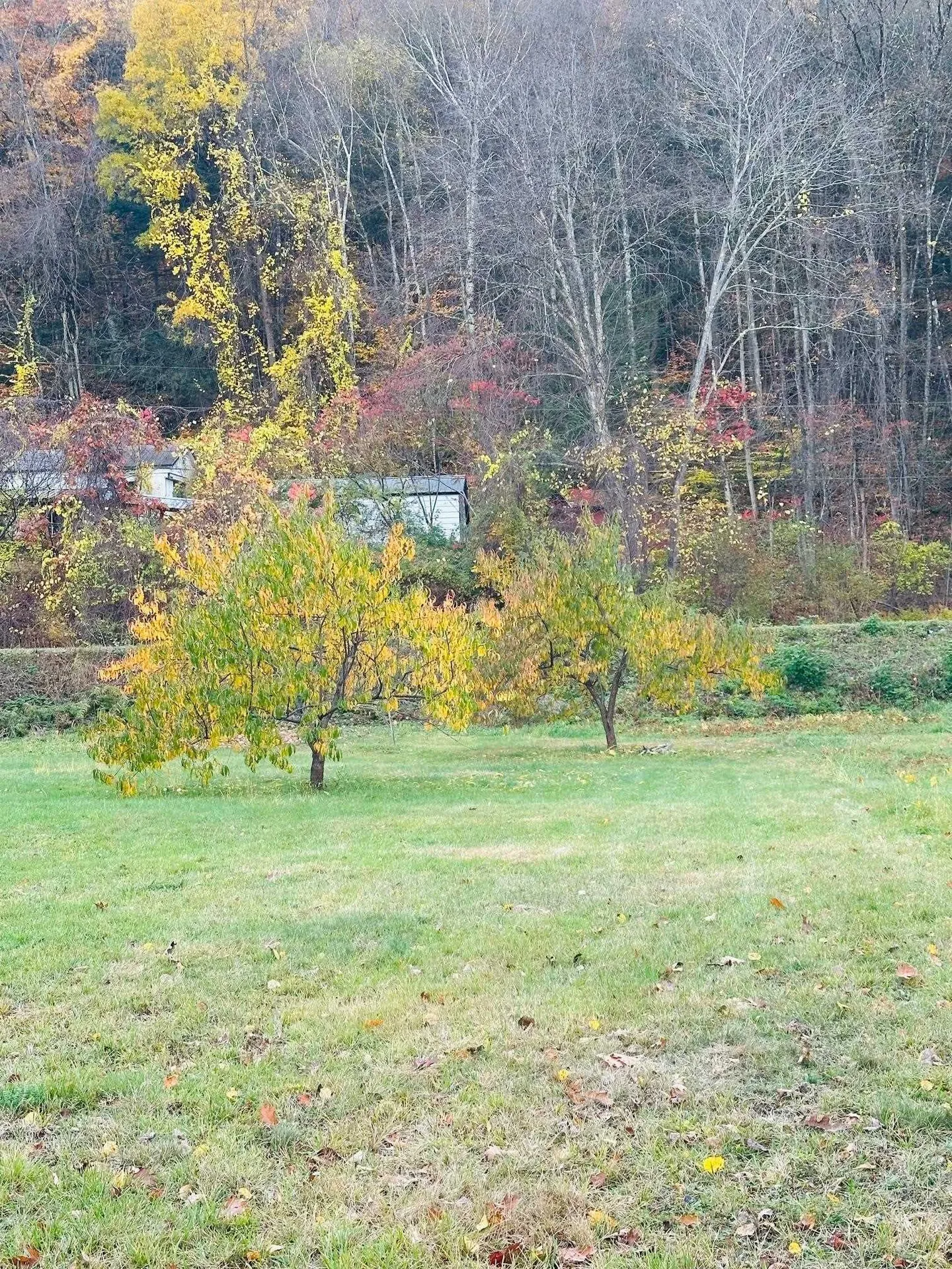 476 Missing Link Road Springfield VT 05156