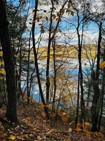 476 Missing Link Road Springfield VT 05156