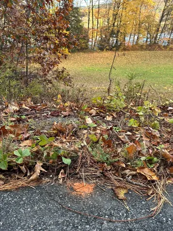 476 Missing Link Road Springfield VT 05156