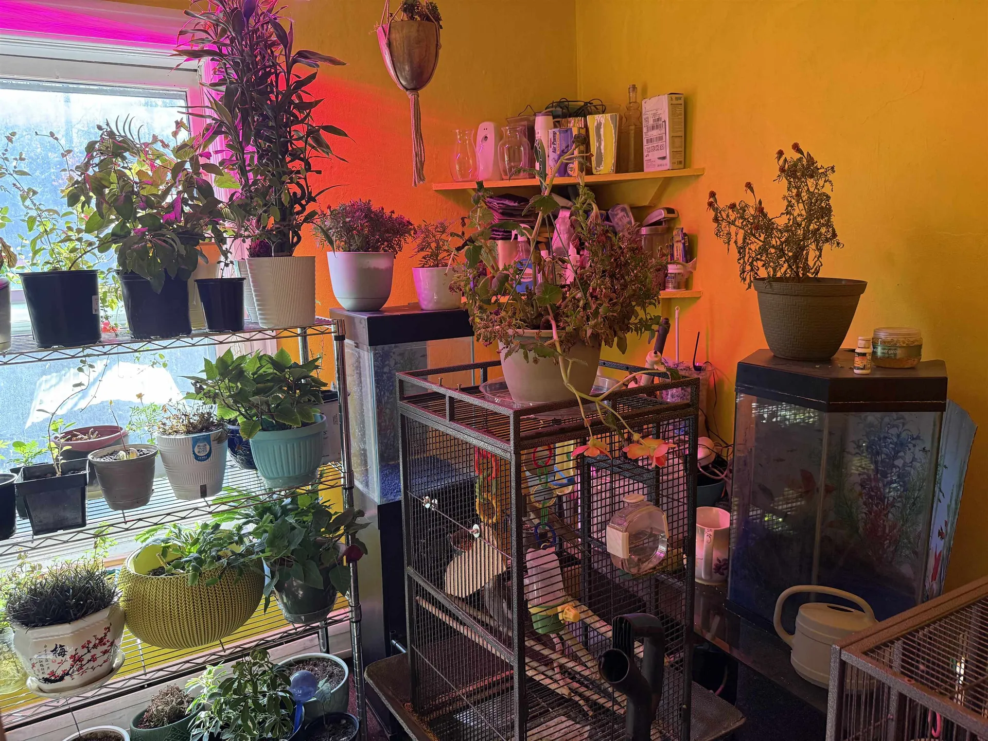 86 Raymond Street Lyndon VT 05851