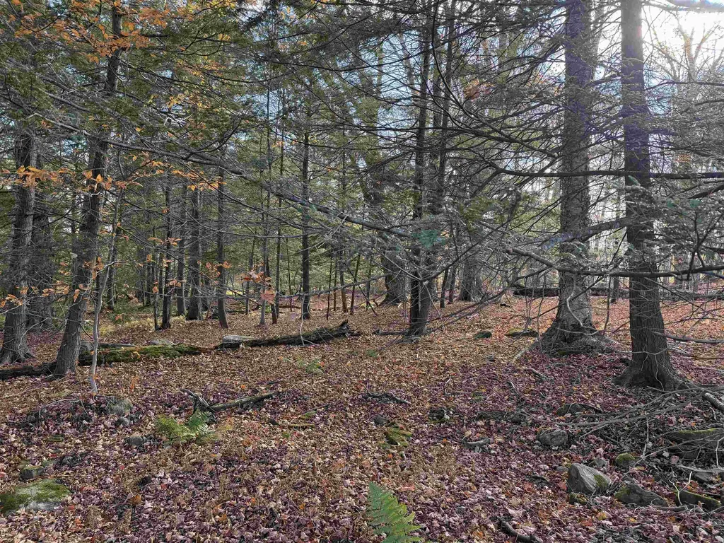 1154 Vt Route 8a Whitingham VT 05361