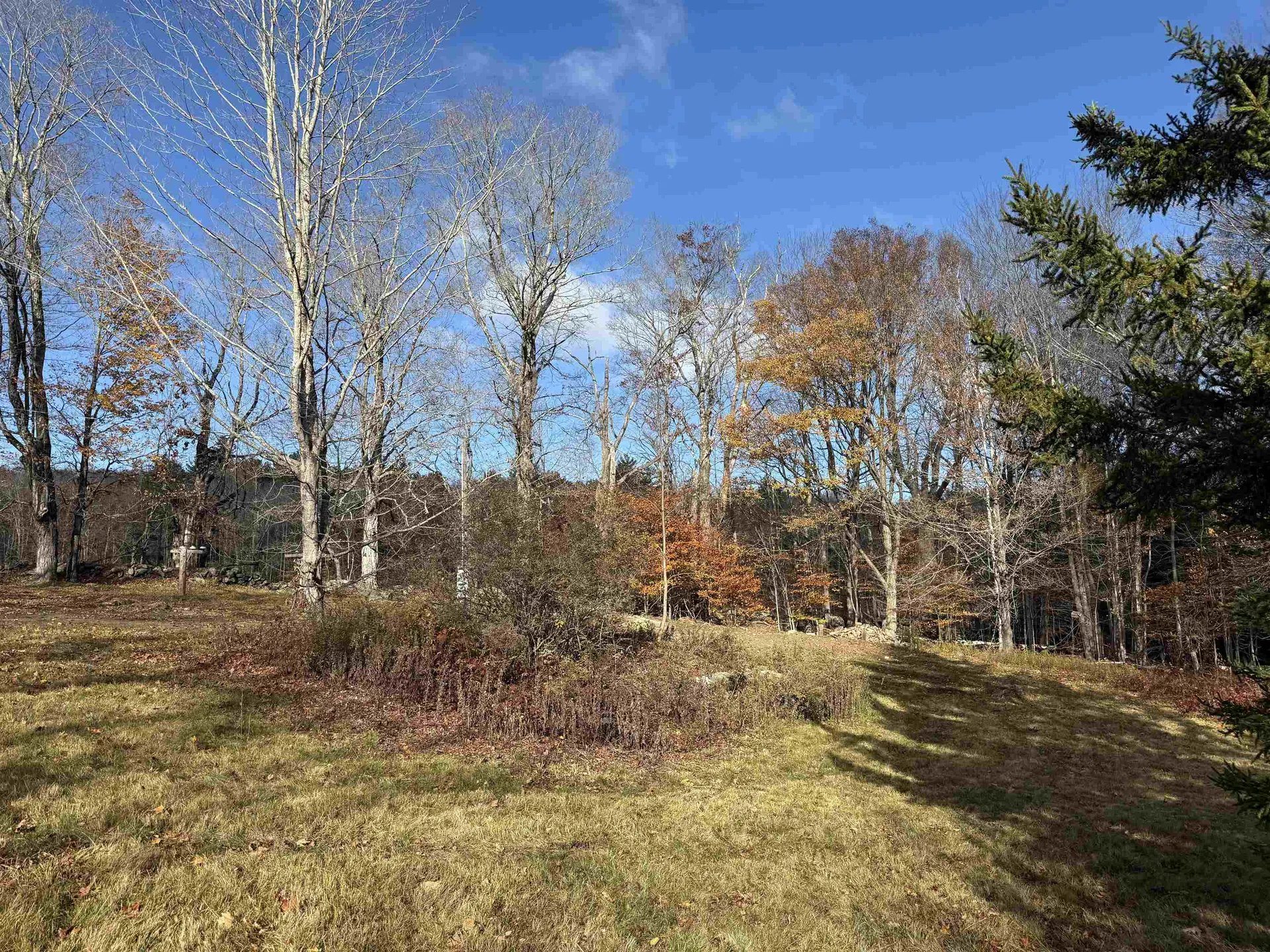 1154 Vt Route 8a Whitingham VT 05361