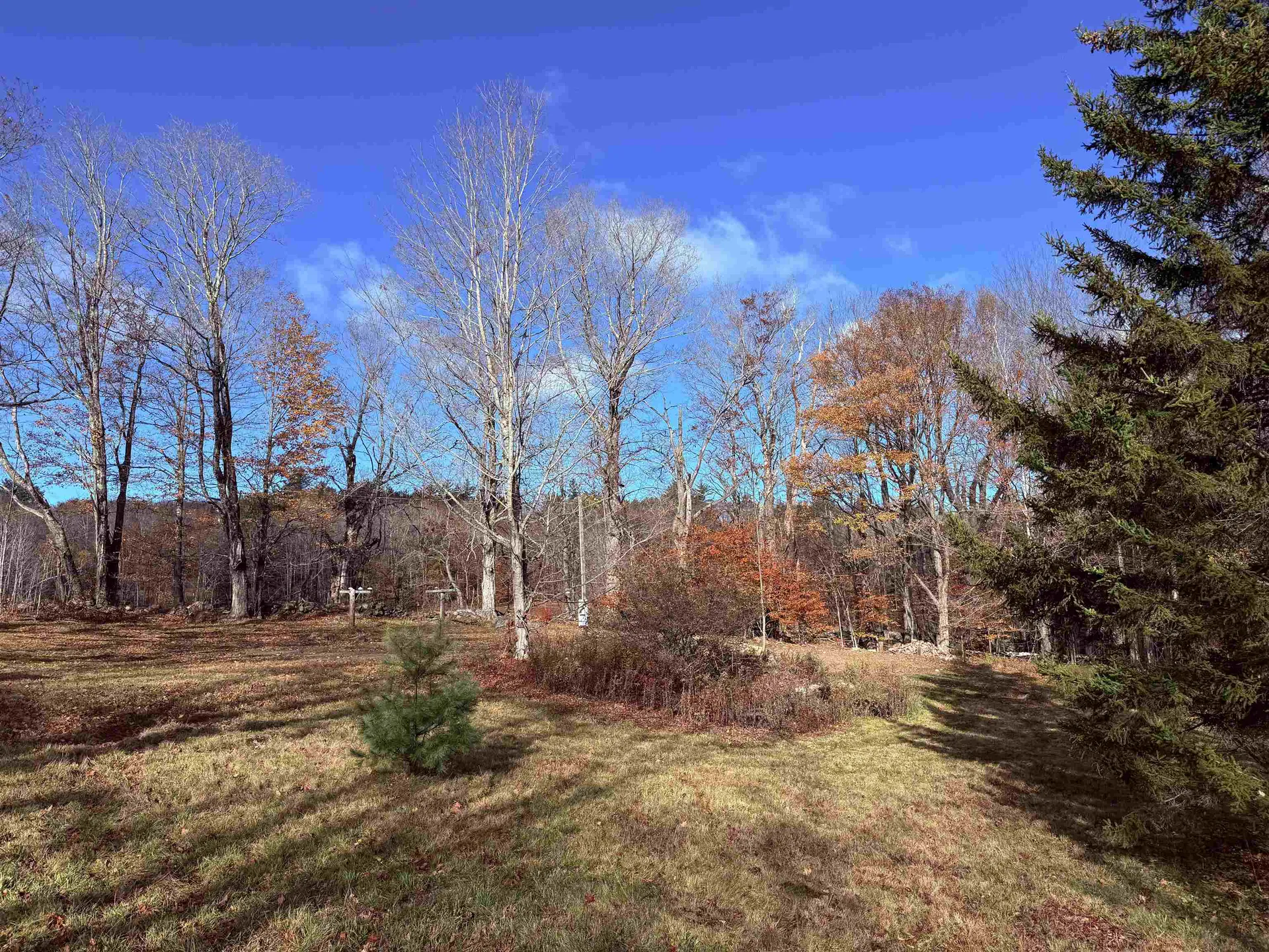 1154 Vt Route 8a Whitingham VT 05361