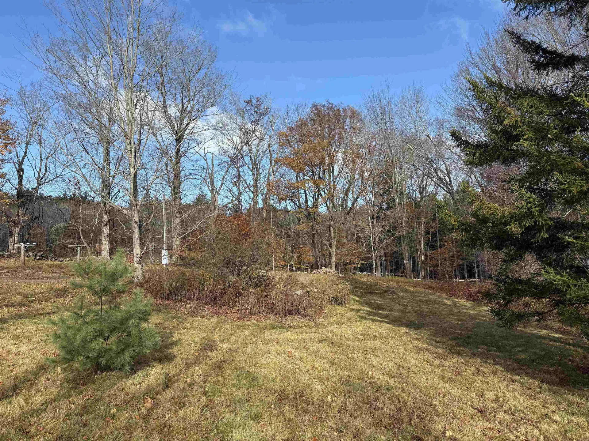 1154 Vt Route 8a Whitingham VT 05361