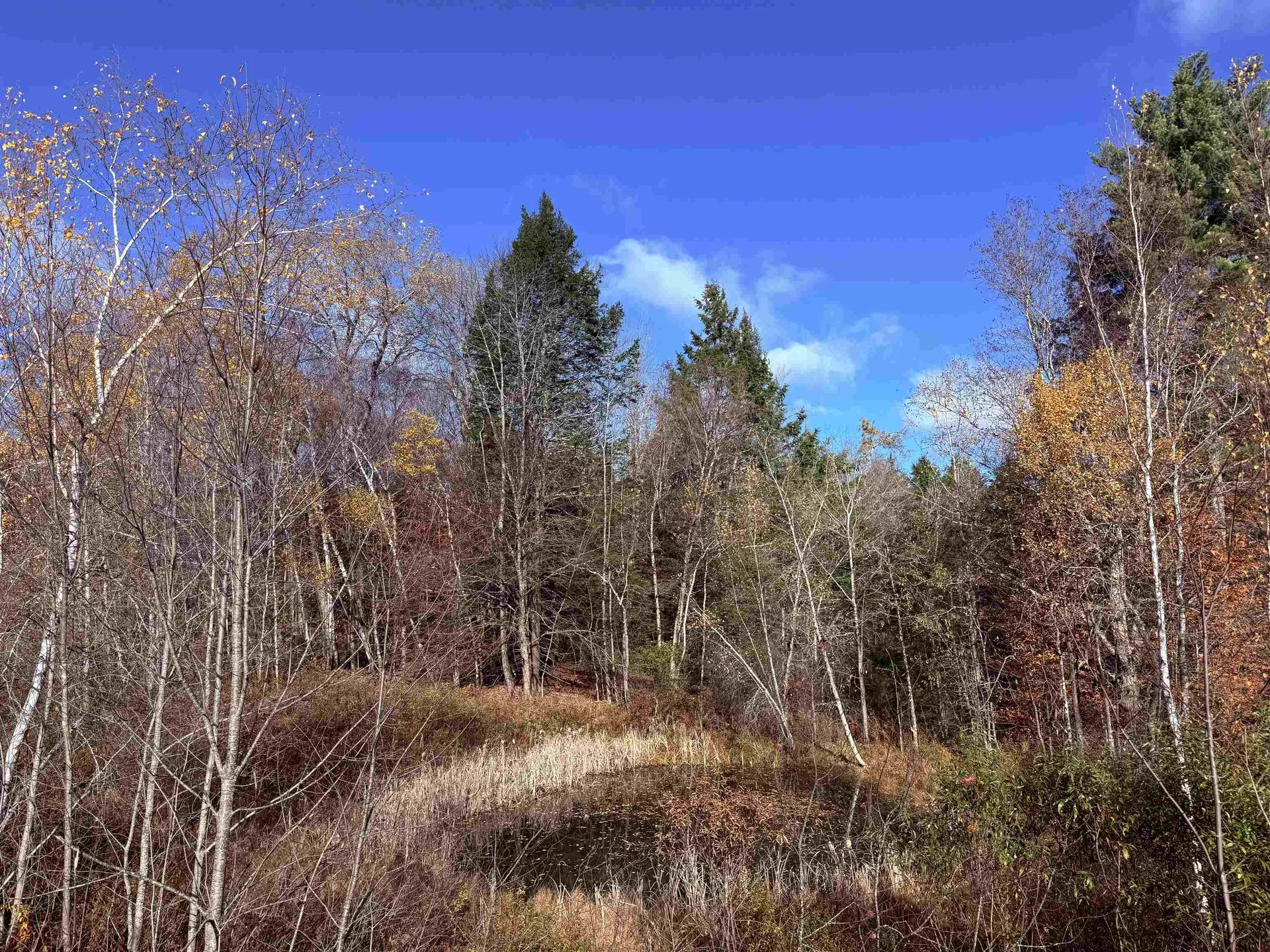 1154 Vt Route 8a Whitingham VT 05361