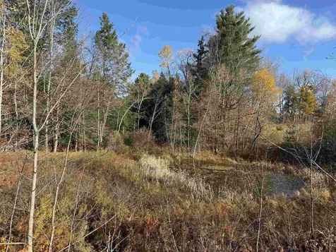 1154 Vt Route 8a Whitingham VT 05361