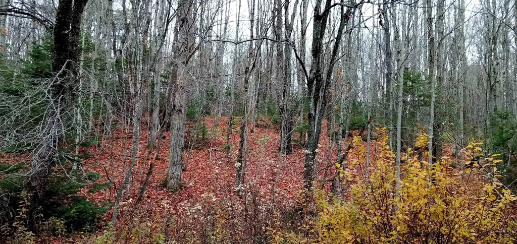 000 Square Road Eden VT 05653