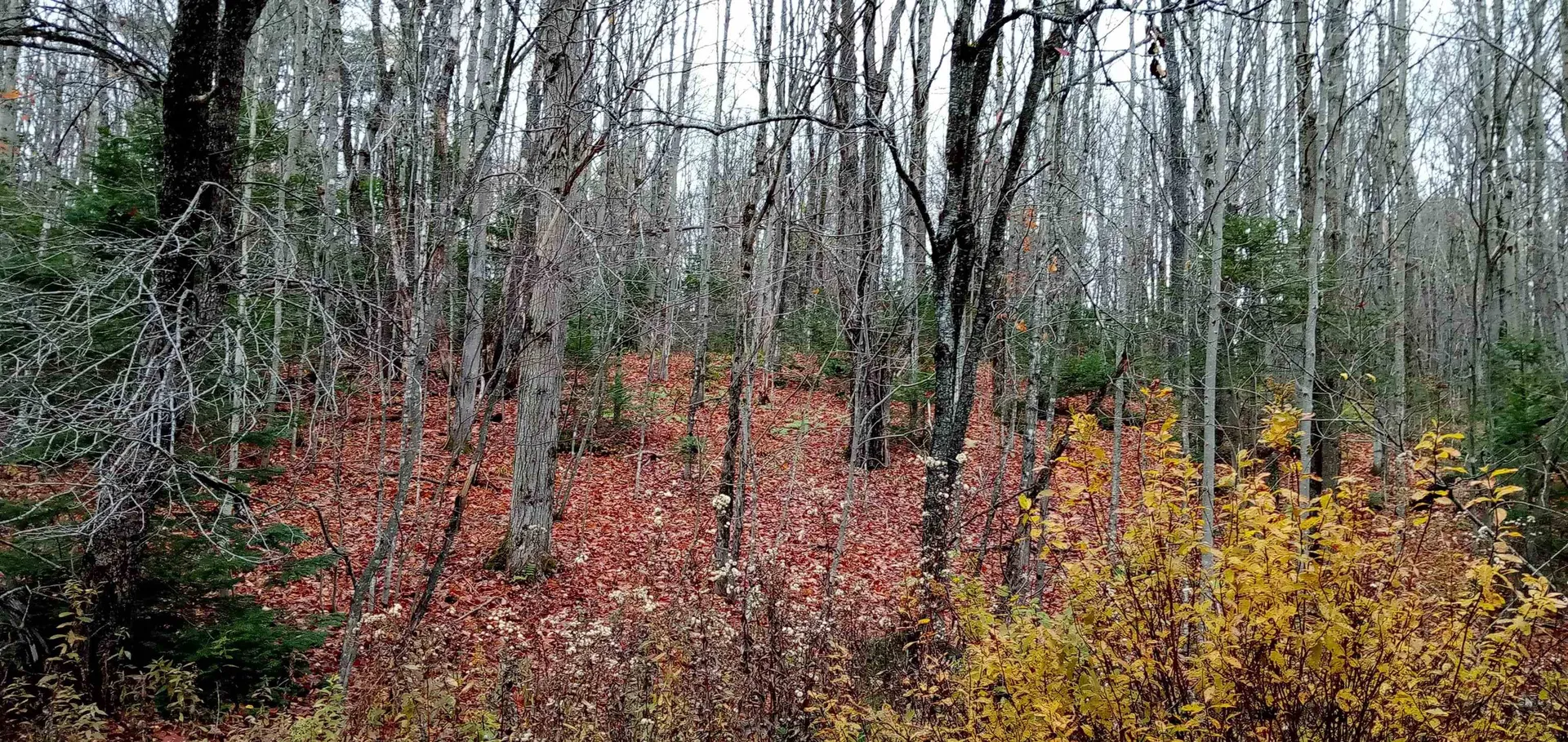 000 Square Road Eden VT 05653