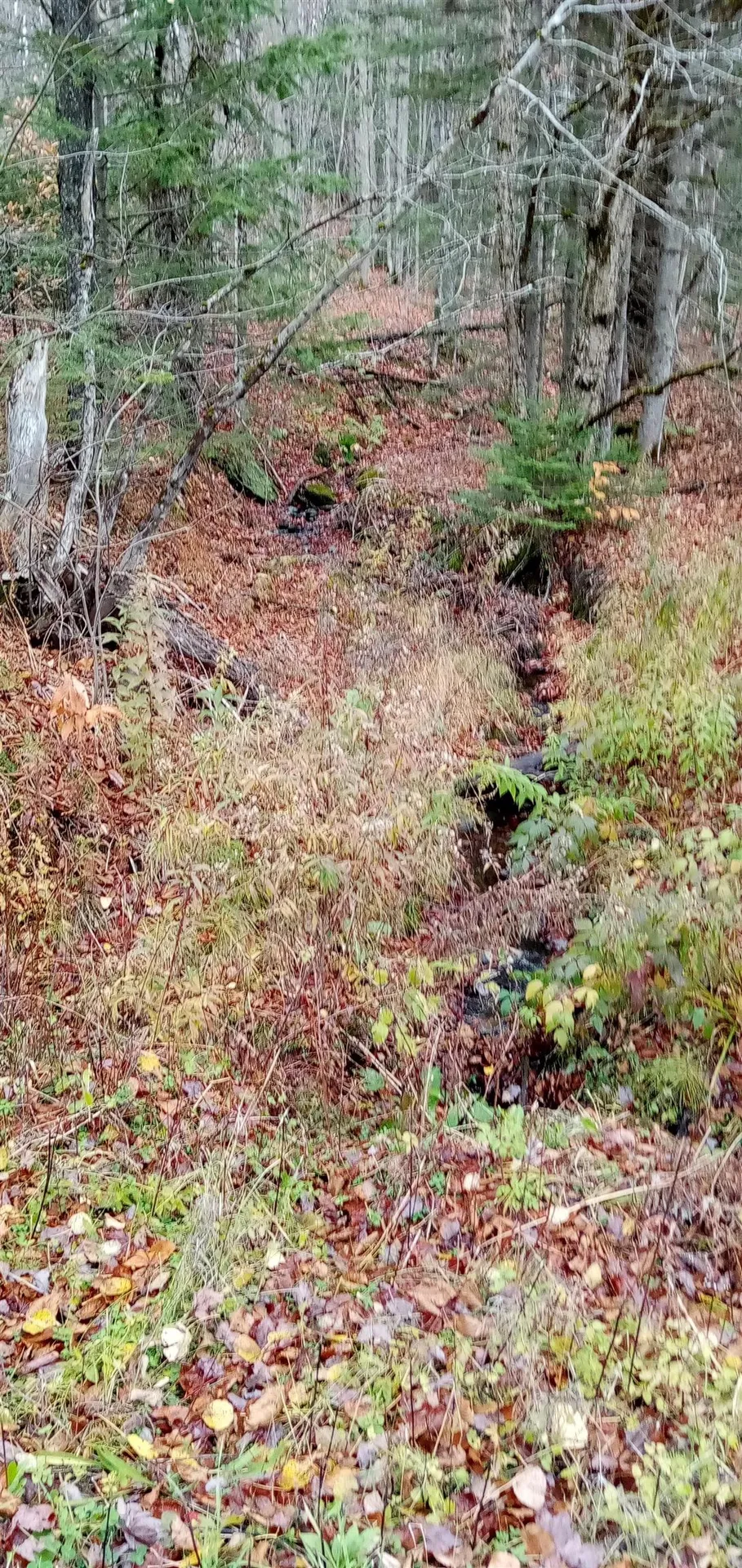 000 Square Road Eden VT 05653