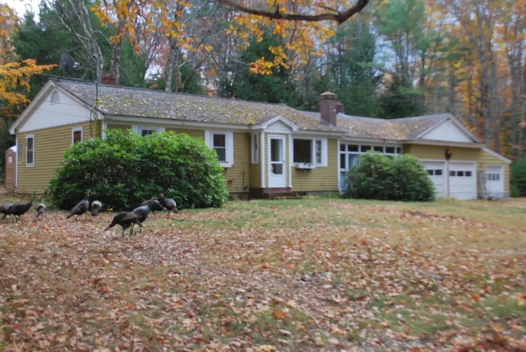 23 Ledge Hill Road Tuftonboro NH 03816