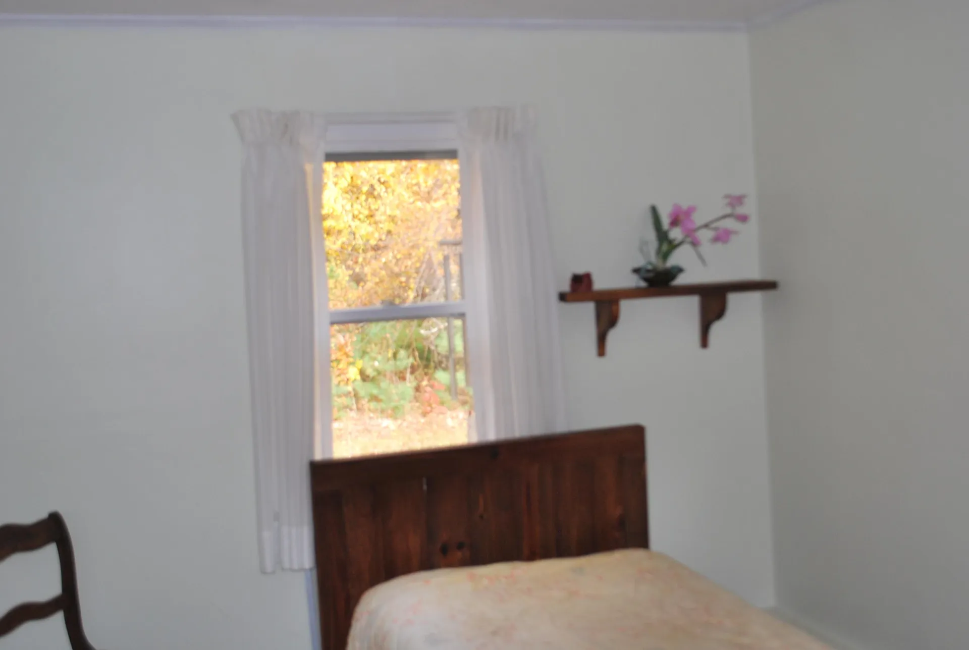 23 Ledge Hill Road Tuftonboro NH 03816