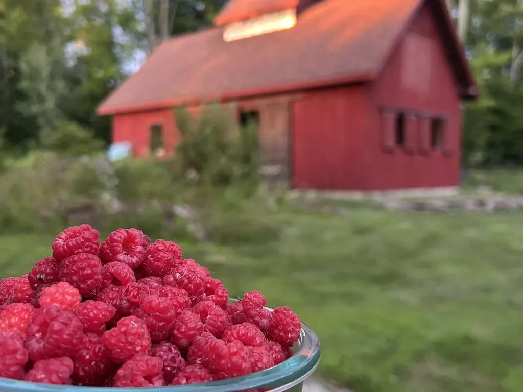 165 Cilley Hill Road Jericho VT 05465