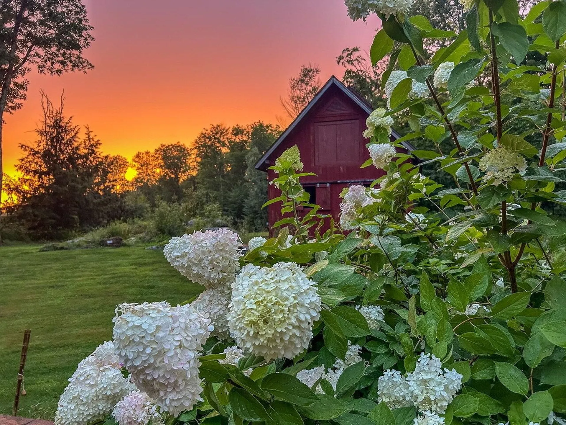 165 Cilley Hill Road Jericho VT 05465