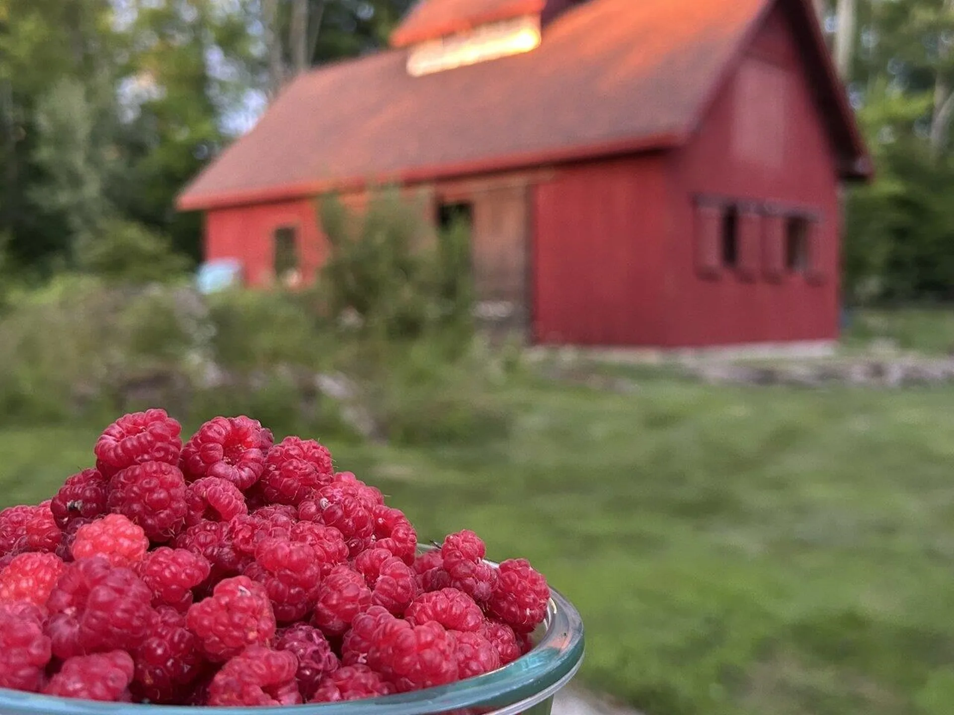 165 Cilley Hill Road Jericho VT 05465