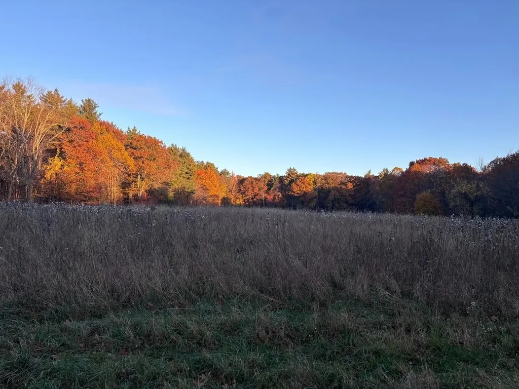 007-056 Mack Hill Road Amherst NH 03031