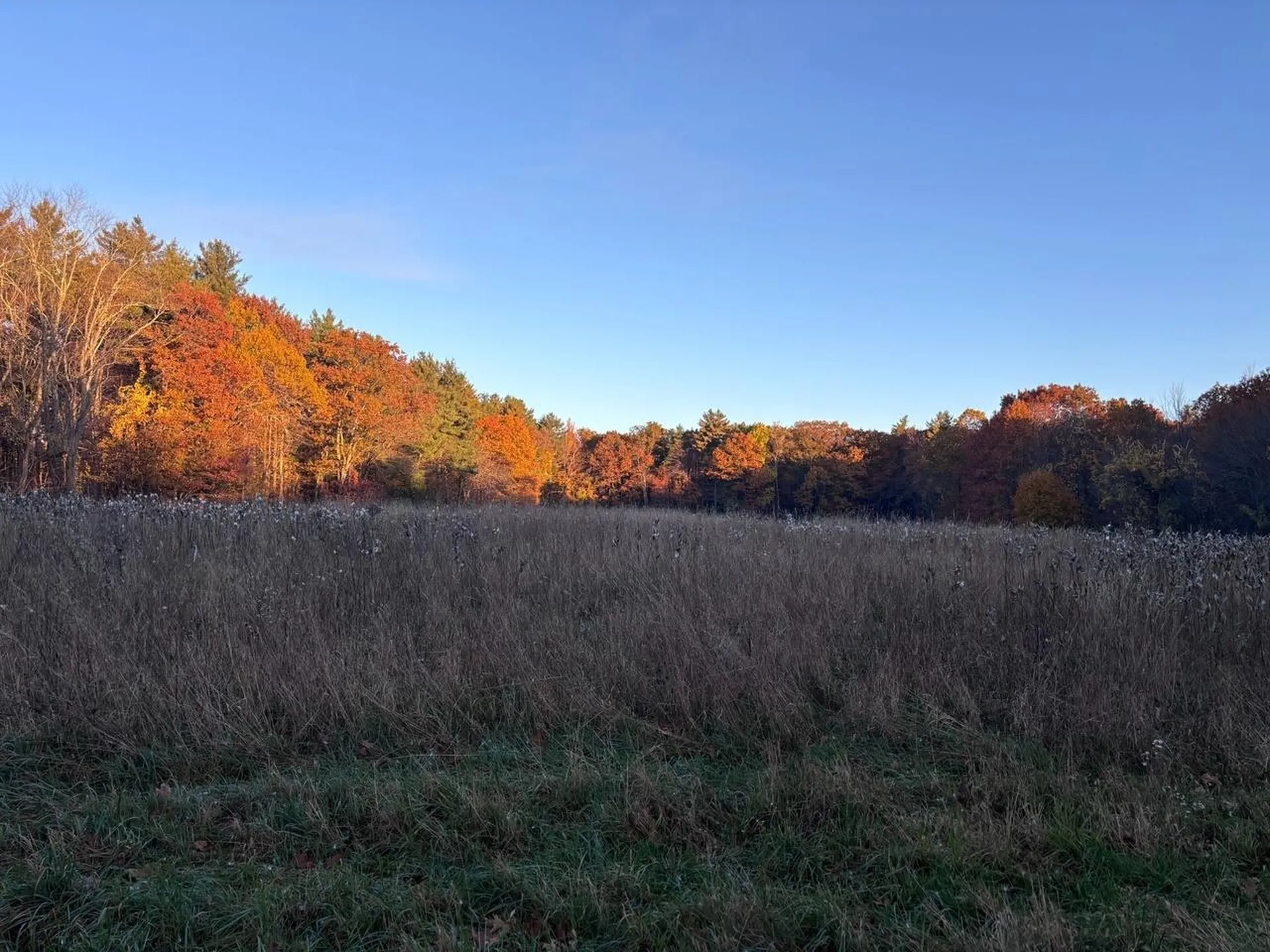 007-056 Mack Hill Road Amherst NH 03031