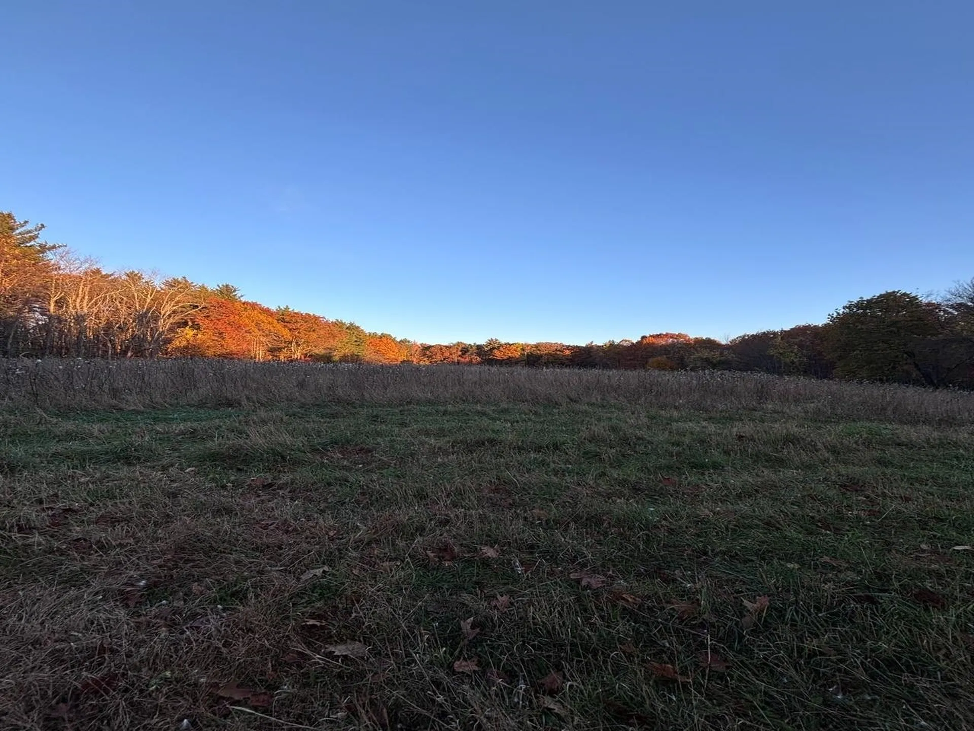 007-056 Mack Hill Road Amherst NH 03031