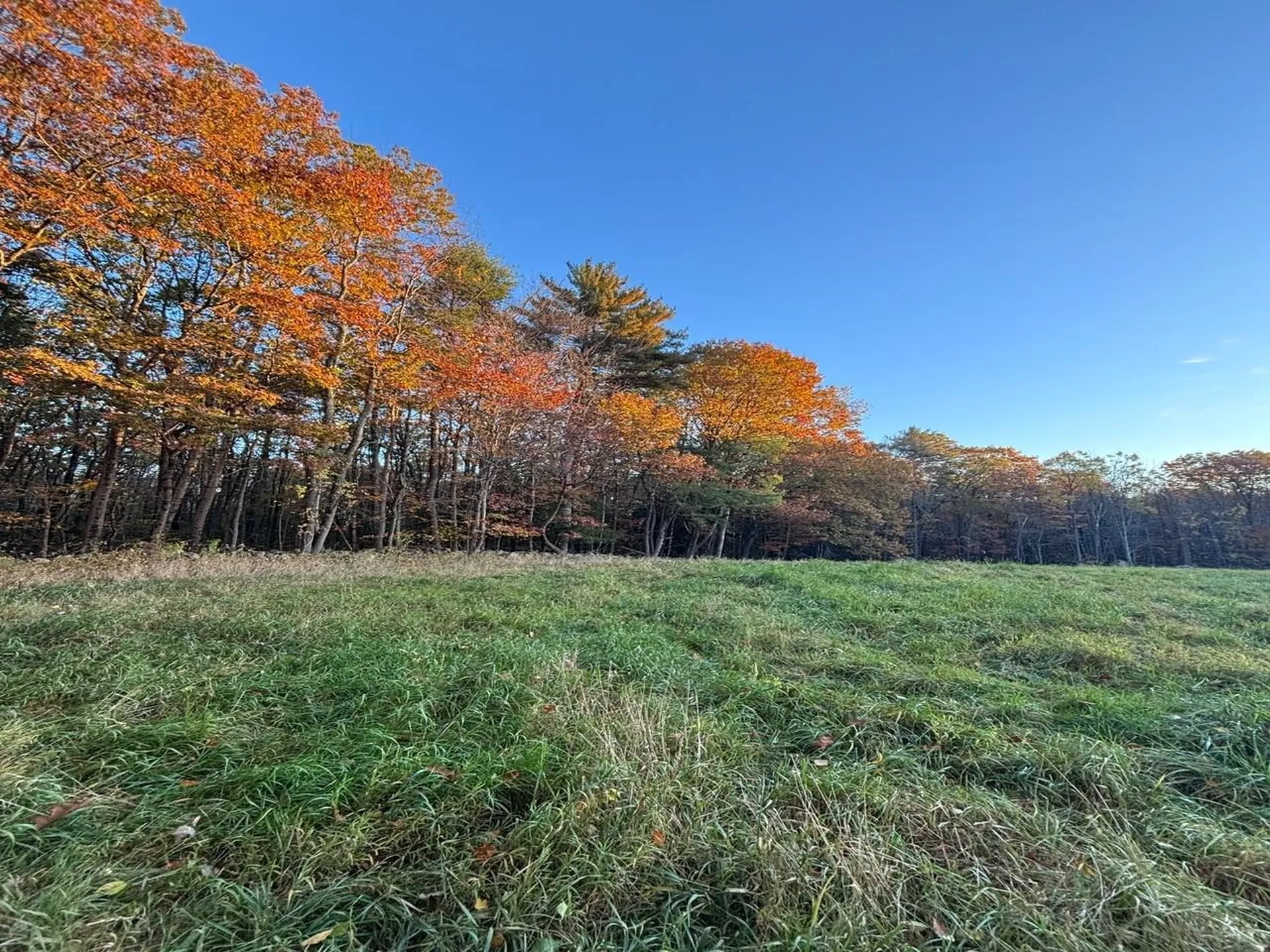 007-056 Mack Hill Road Amherst NH 03031