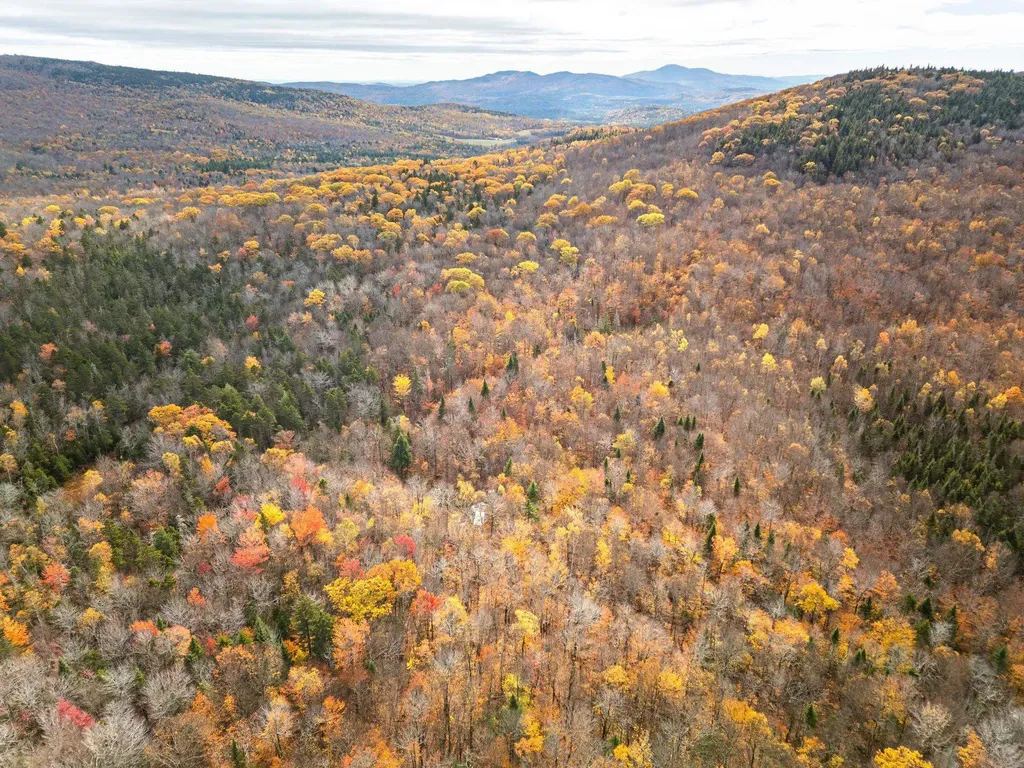 00 Orange Road Alexandria NH 03222