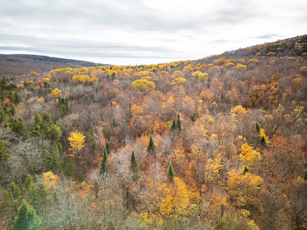 00 Orange Road Alexandria NH 03222
