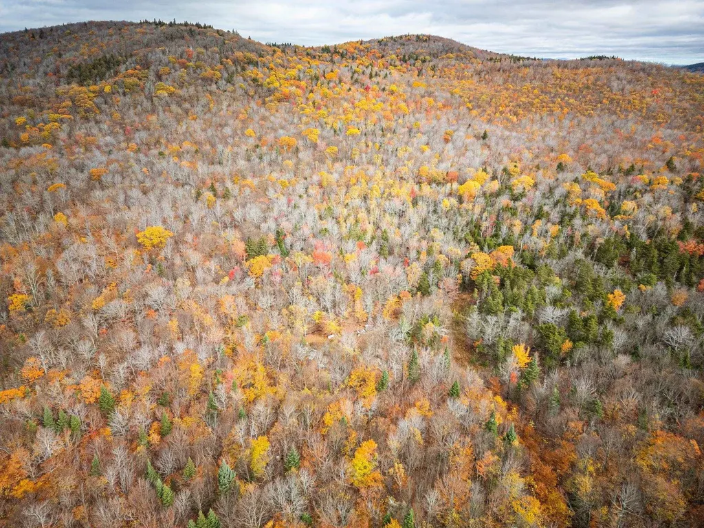 00 Orange Road Alexandria NH 03222