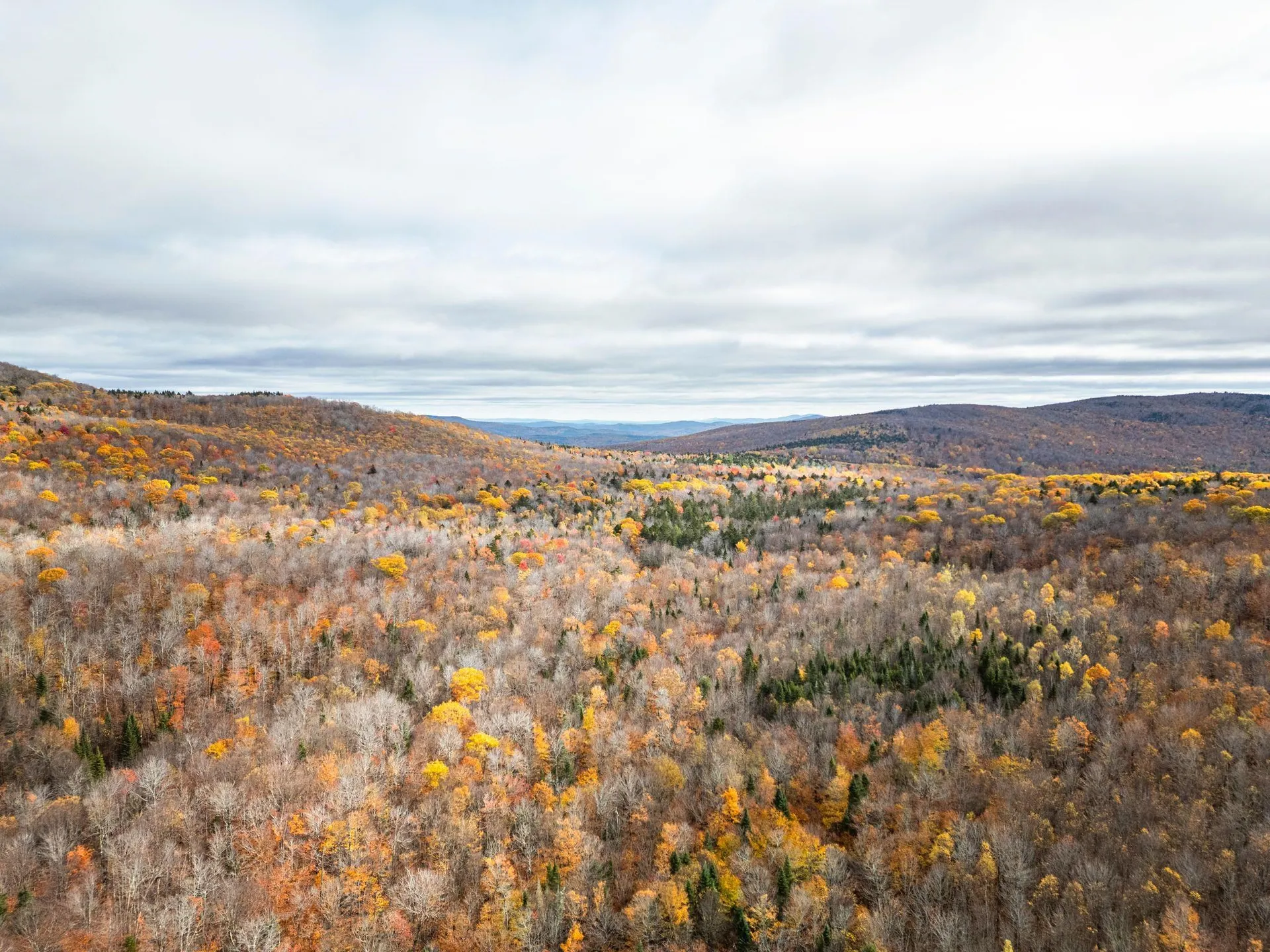 00 Orange Road Alexandria NH 03222