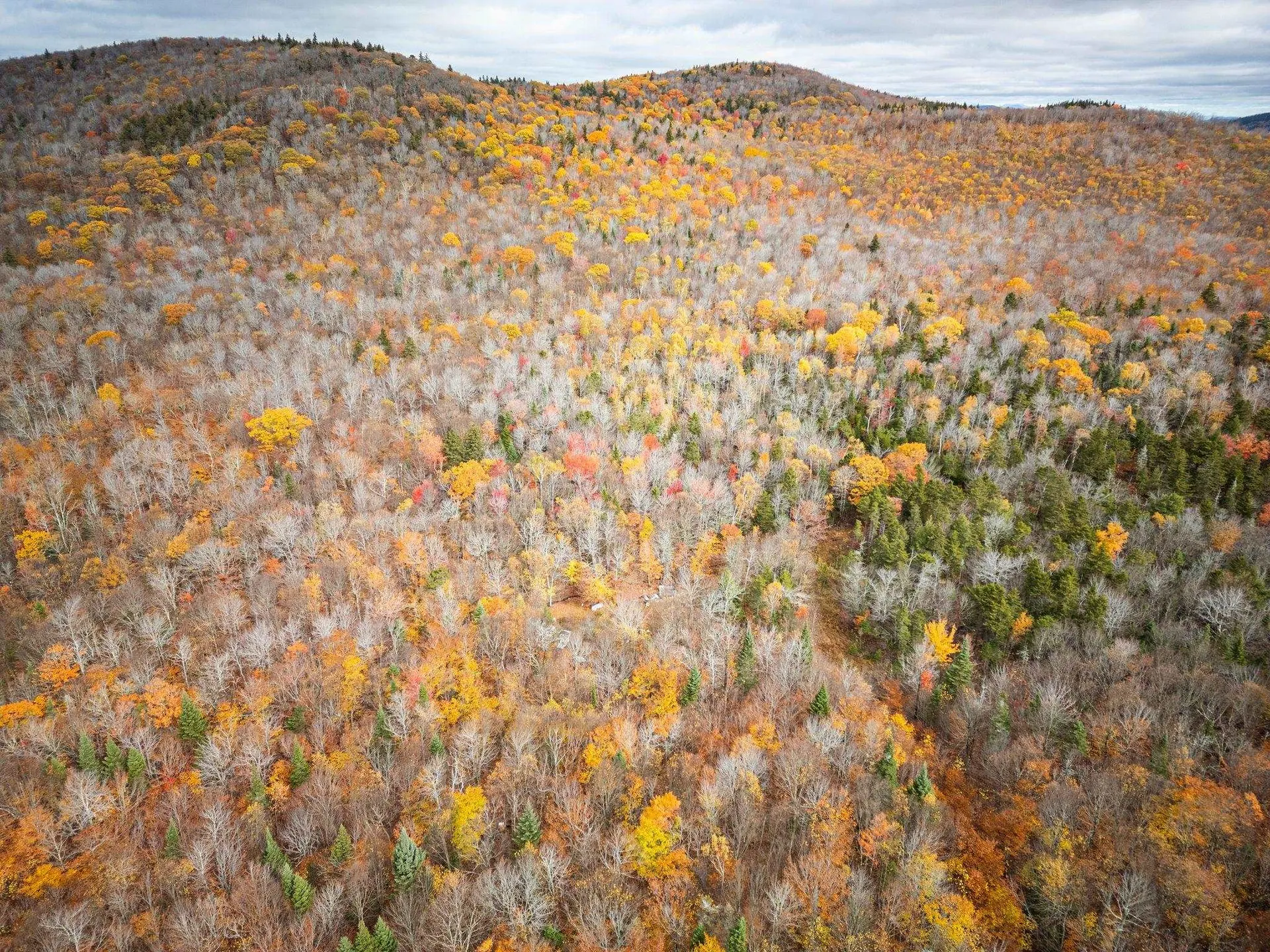 00 Orange Road Alexandria NH 03222
