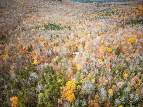 00 Orange Road Alexandria NH 03222