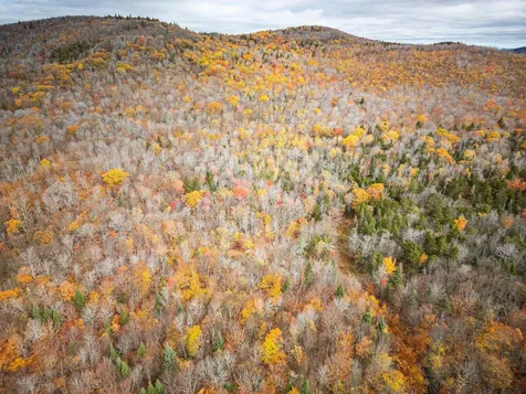 00 Orange Road Alexandria NH 03222