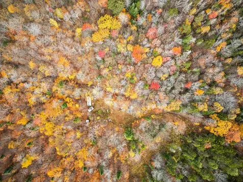 00 Orange Road Alexandria NH 03222