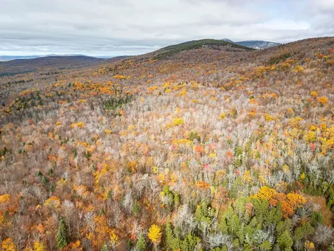 00 Orange Road Alexandria NH 03222