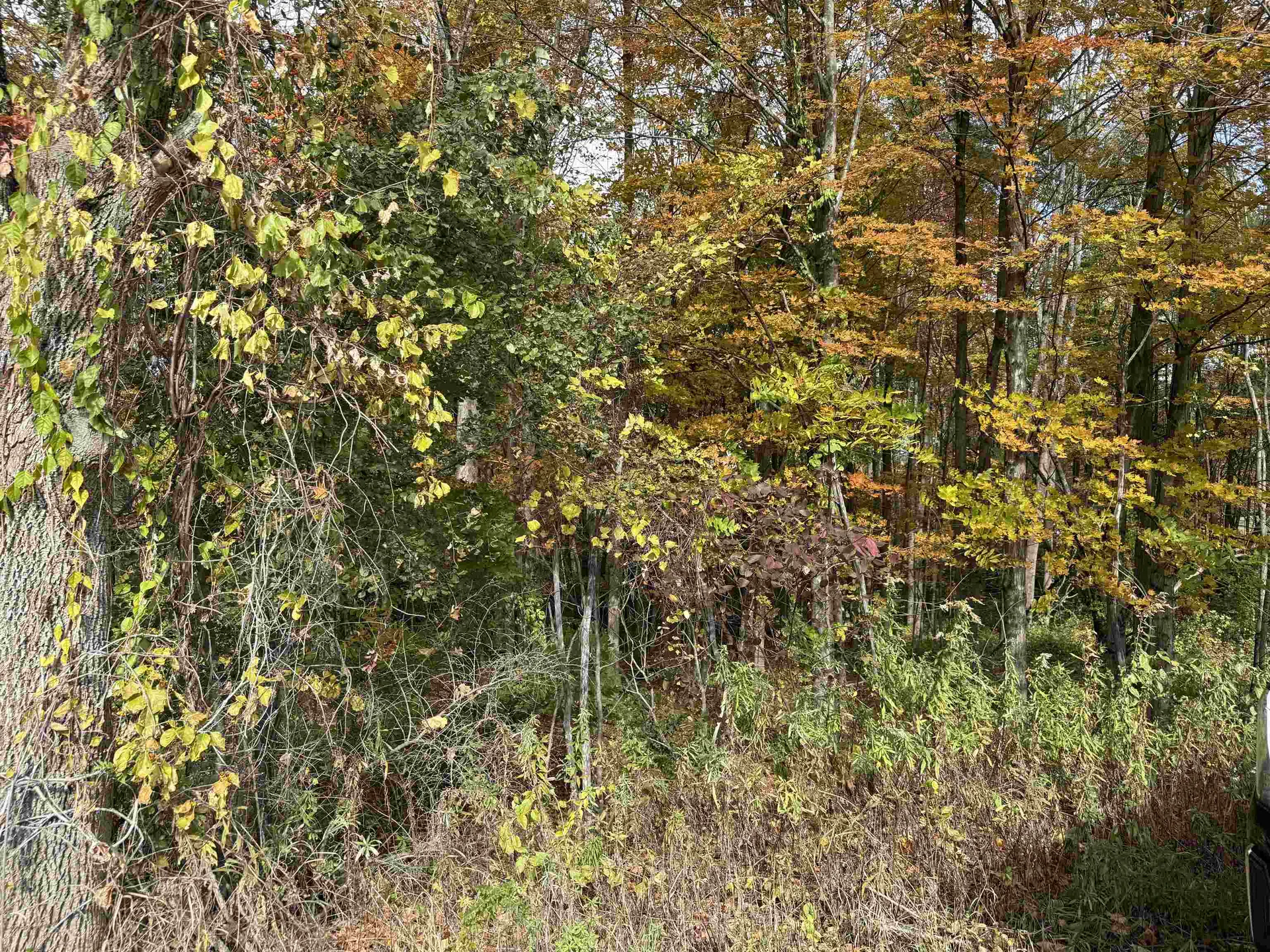 0 Sunset Hill Road Pownal VT 05261