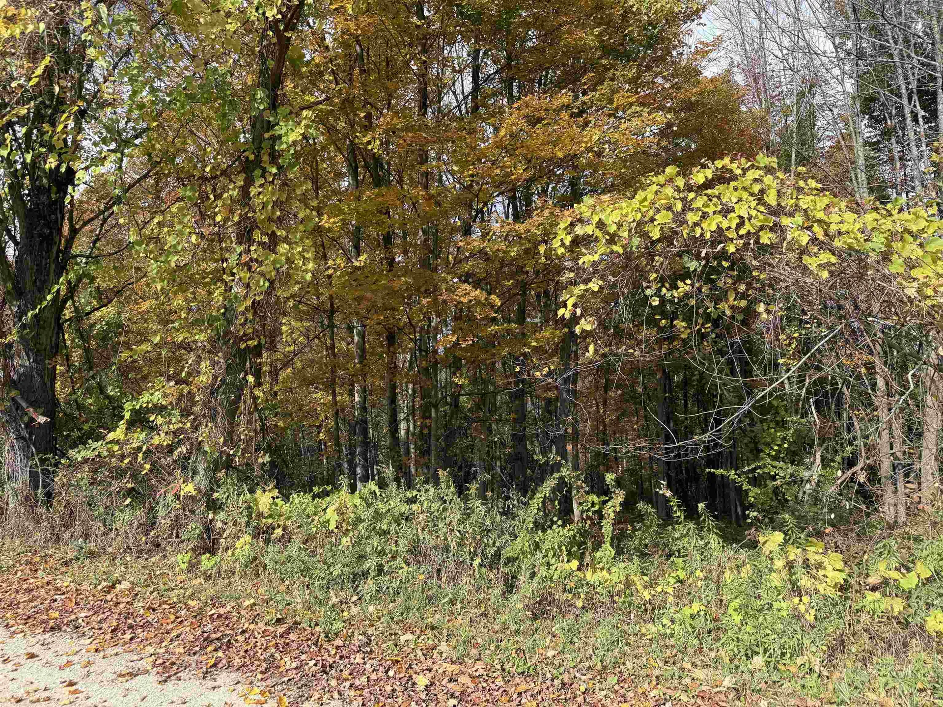 0 Sunset Hill Road Pownal VT 05261