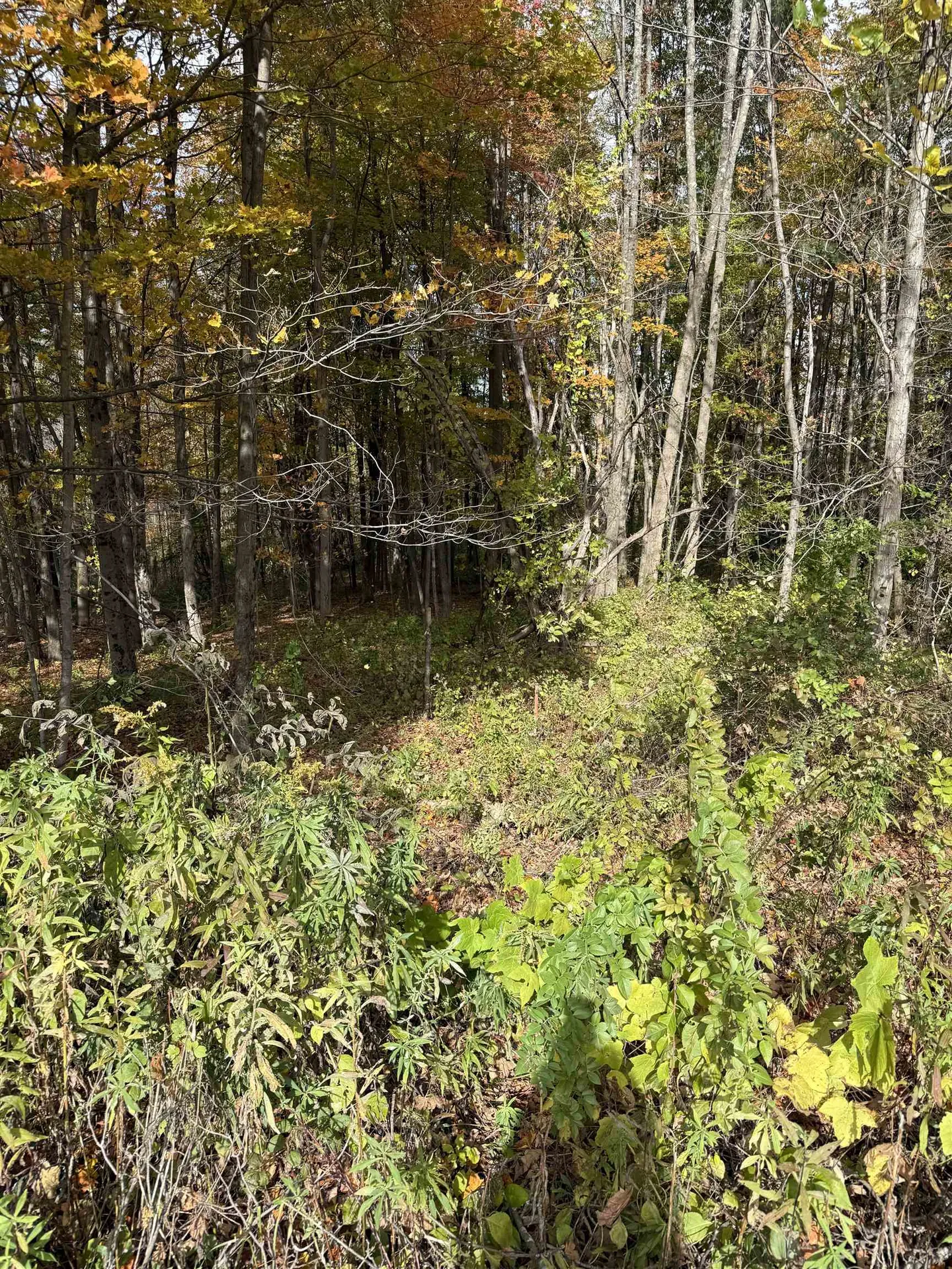 0 Sunset Hill Road Pownal VT 05261