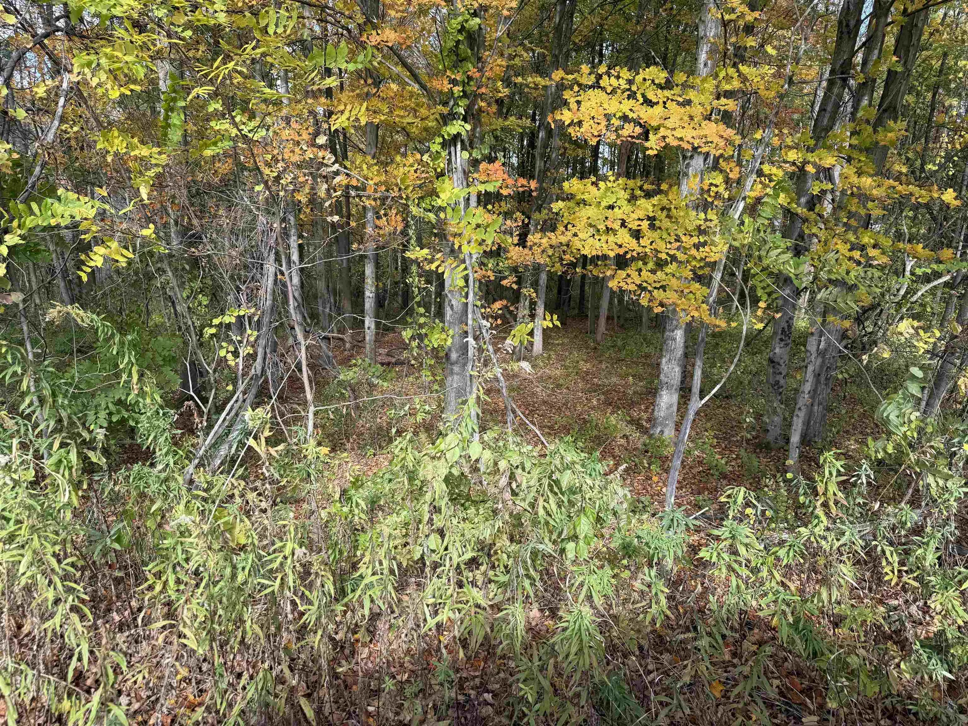 0 Sunset Hill Road Pownal VT 05261