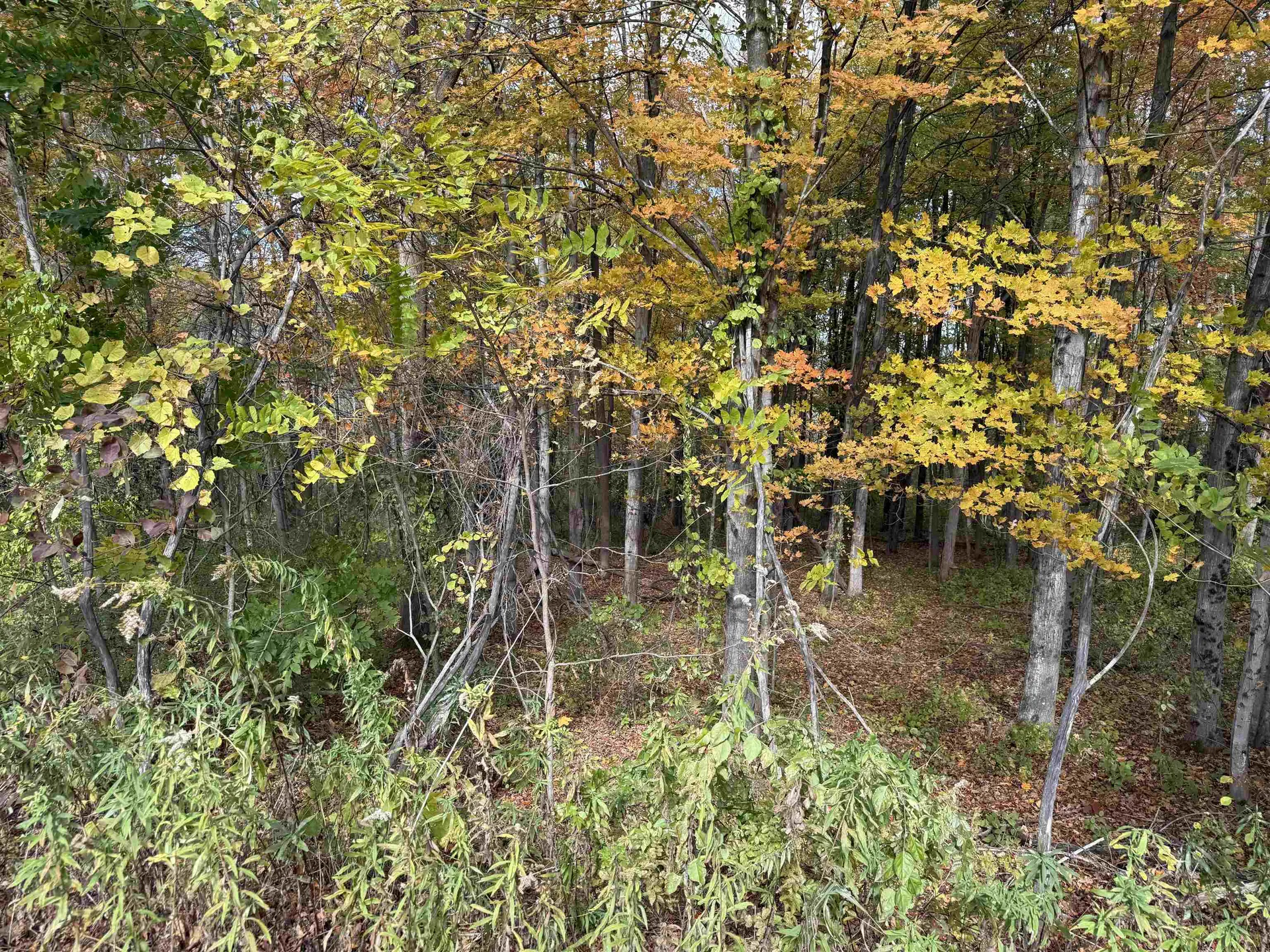 0 Sunset Hill Road Pownal VT 05261