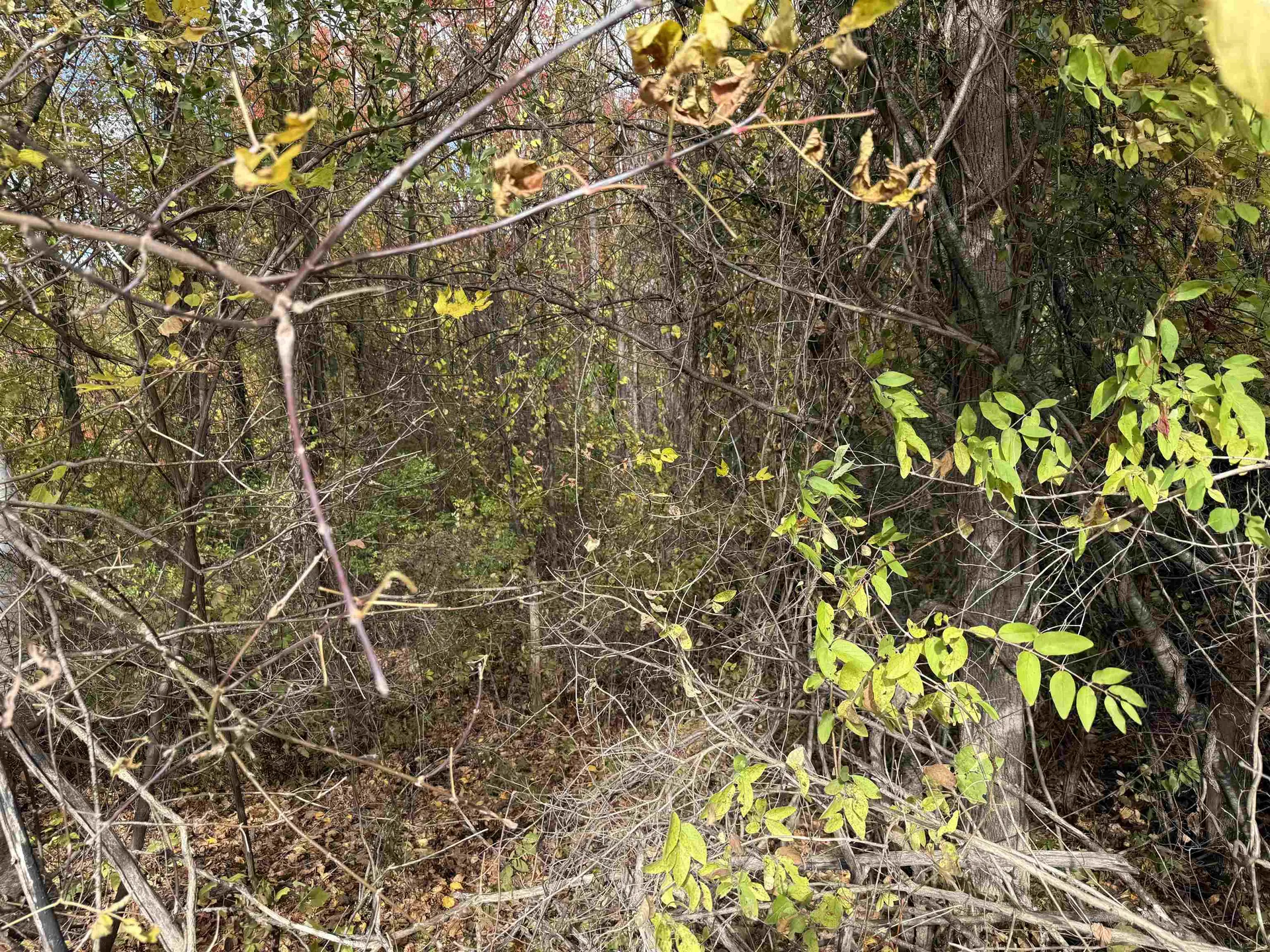 0 Sunset Hill Road Pownal VT 05261