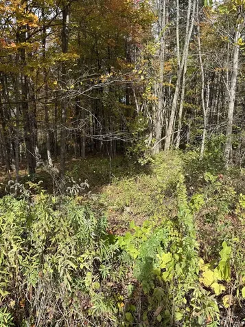 0 Sunset Hill Road Pownal VT 05261