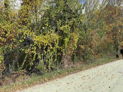 0 Sunset Hill Road Pownal VT 05261