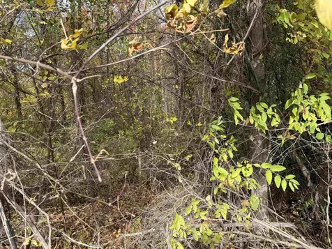 0 Sunset Hill Road Pownal VT 05261