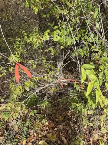 0 Sunset Hill Road Pownal VT 05261