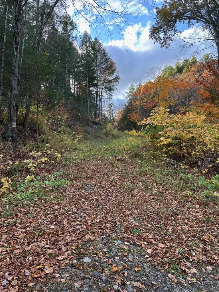 0 Missing Link Road Springfield VT 05156