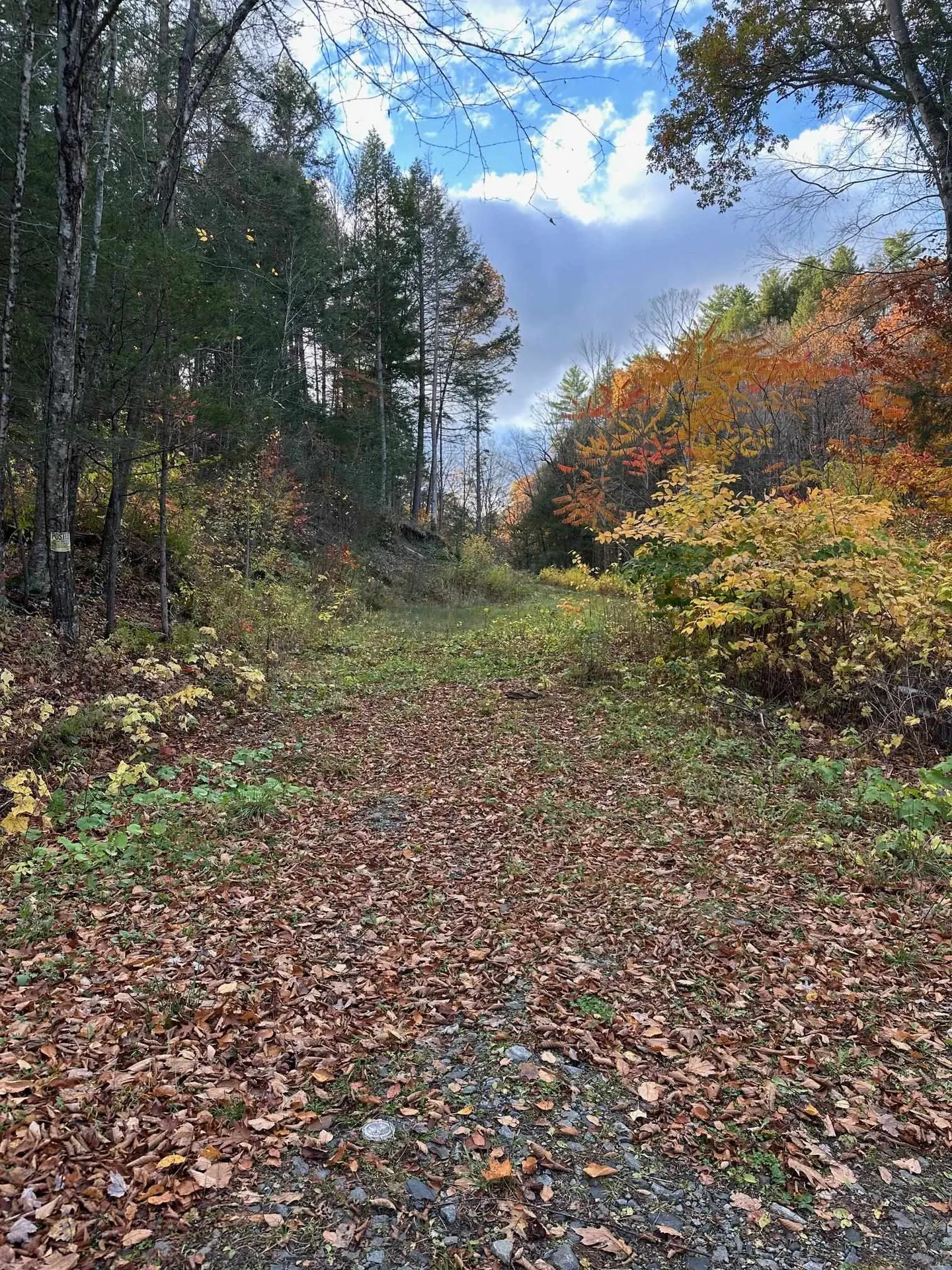 0 Missing Link Road Springfield VT 05156