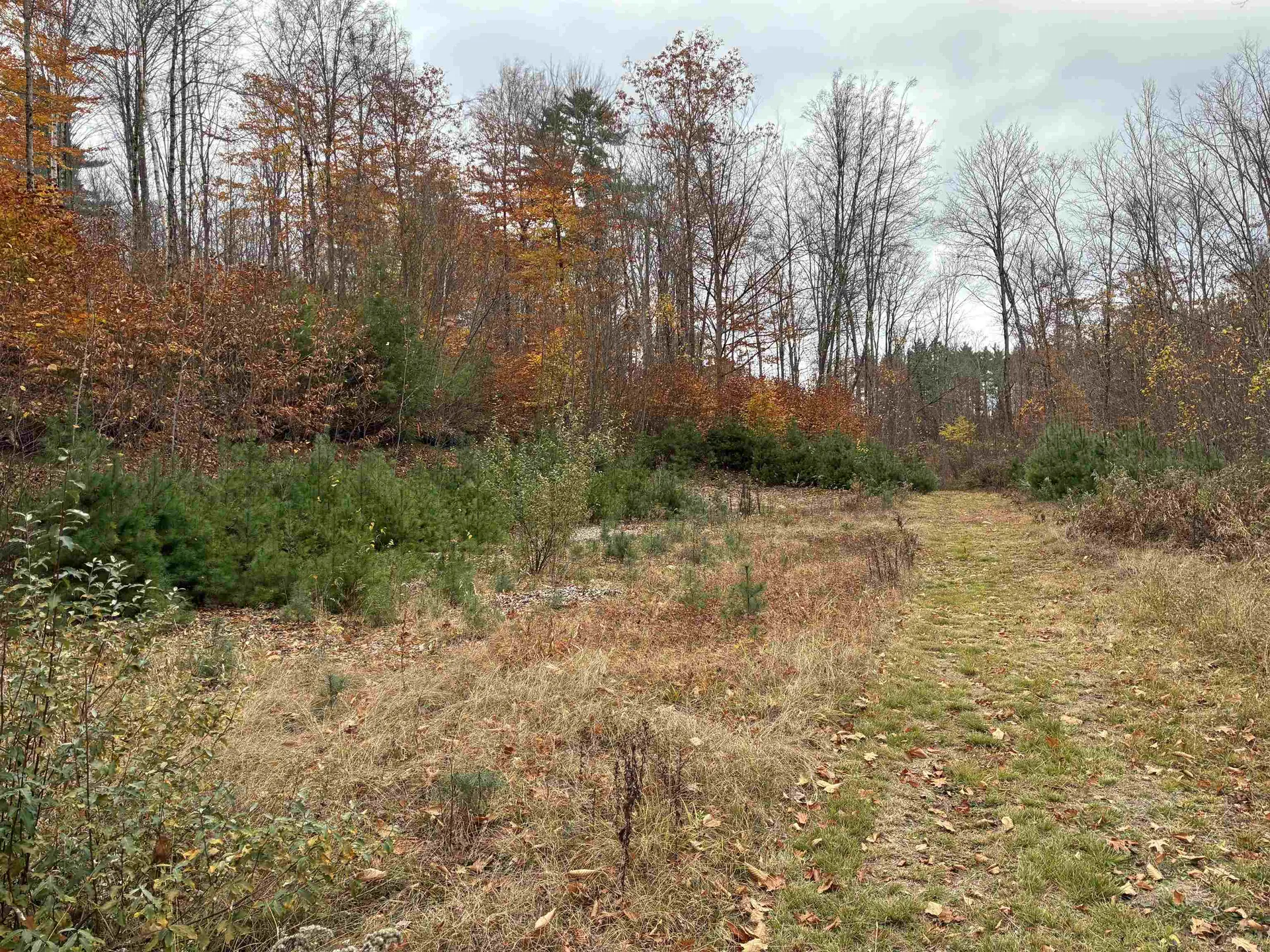 West Street Antrim NH 03440