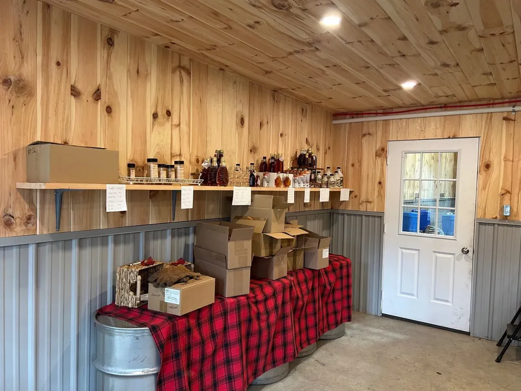 33 Williams Lane Wolcott VT 05680